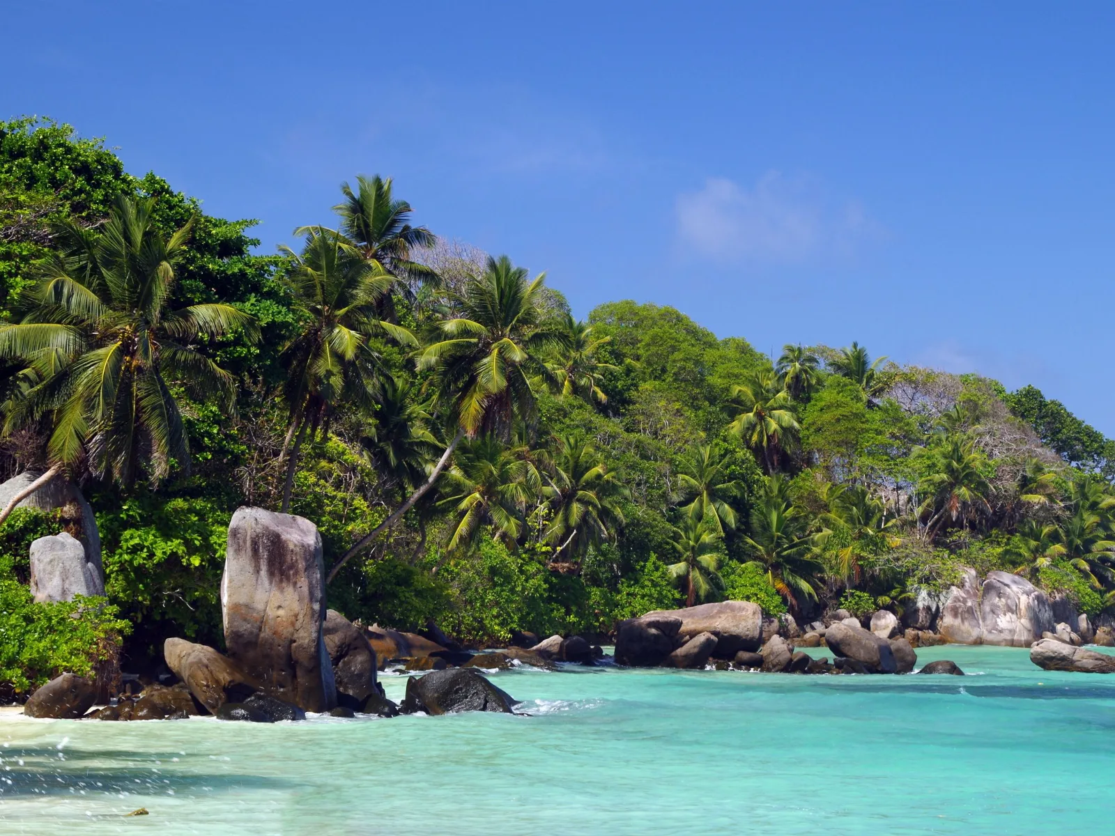 The beach nearby